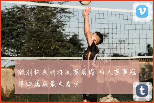 欧洲杯美洲杯决赛前瞻 两大赛事冠军归属成最大看点